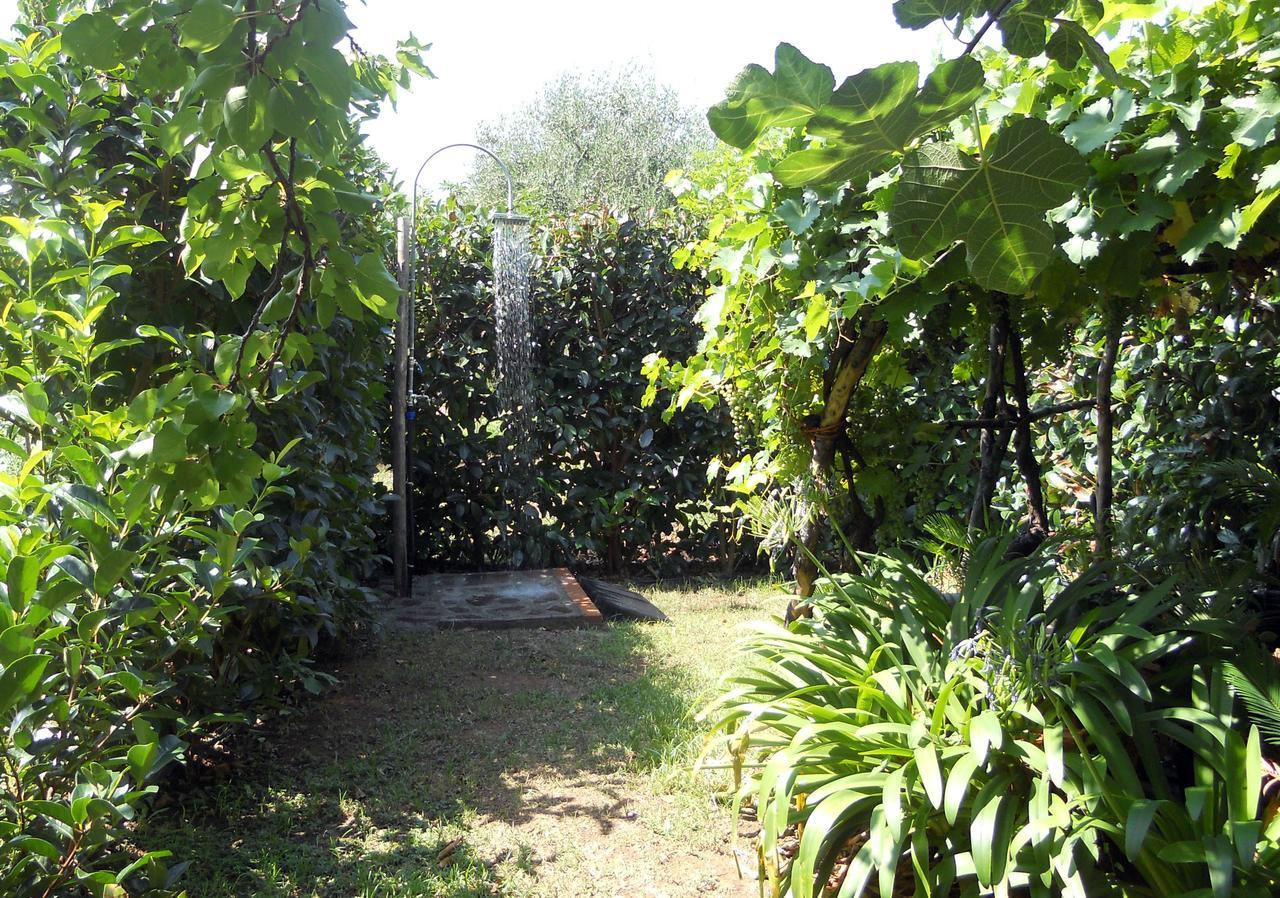 Villa Vincenza Vallo della Lucania Eksteriør bilde