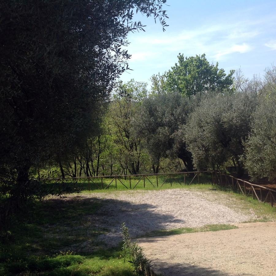 Villa Vincenza Vallo della Lucania Eksteriør bilde