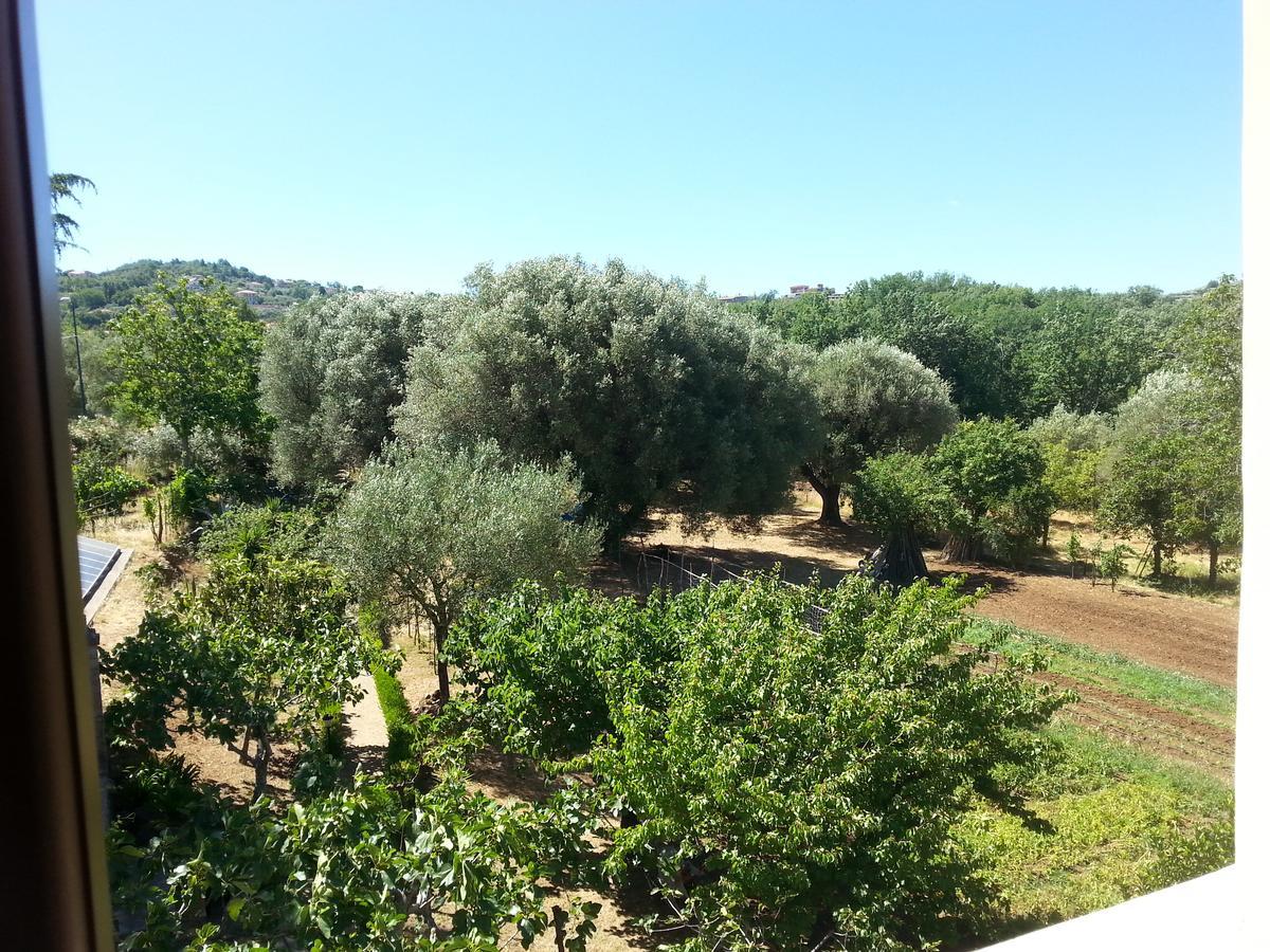 Villa Vincenza Vallo della Lucania Eksteriør bilde